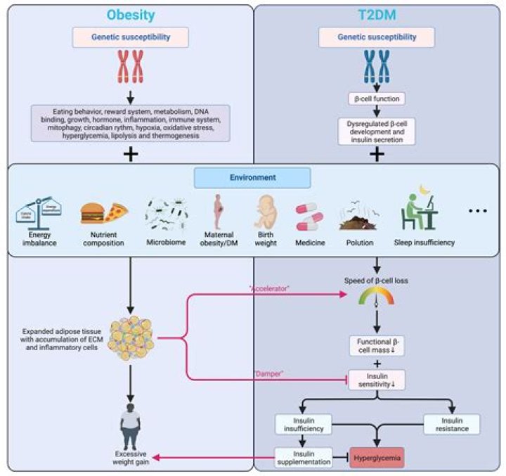 Can trichloroethylene cause diabetes?