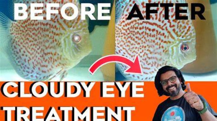 How do I fix cloudy eye in fish?