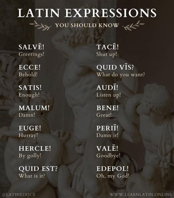 How do you say quick in Latin?