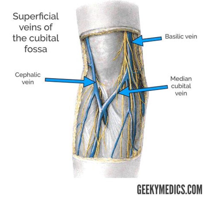 In the cubital fossa?