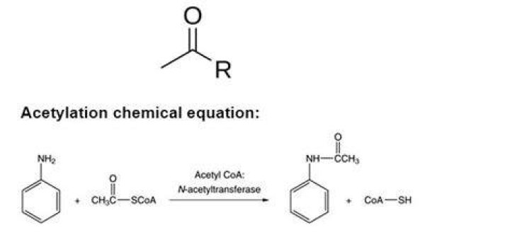 What are the example of acetylating agent?