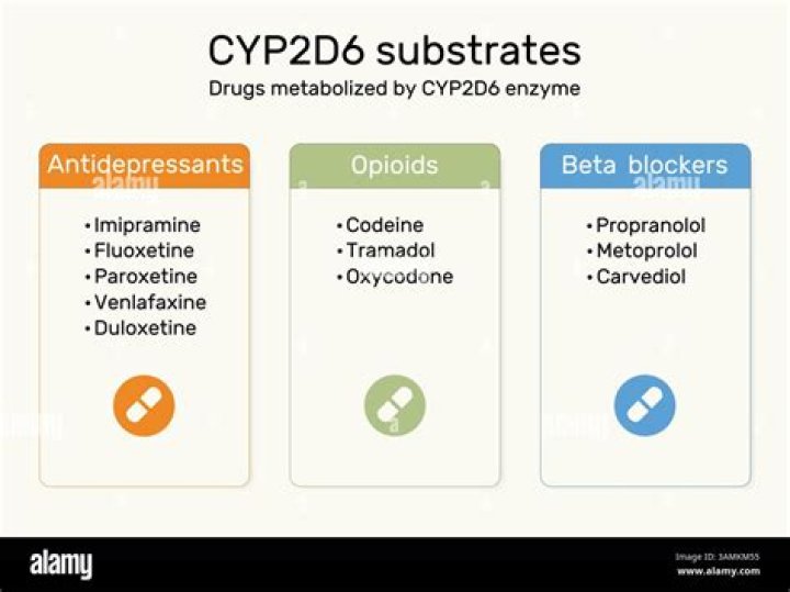 What do drug-metabolizing enzymes do?