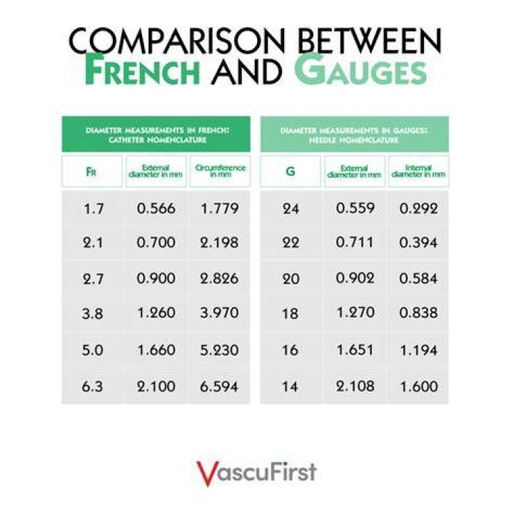 What does jamil mean in french?