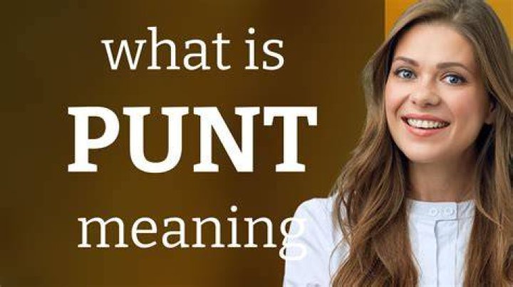 What does punted mean in slang?