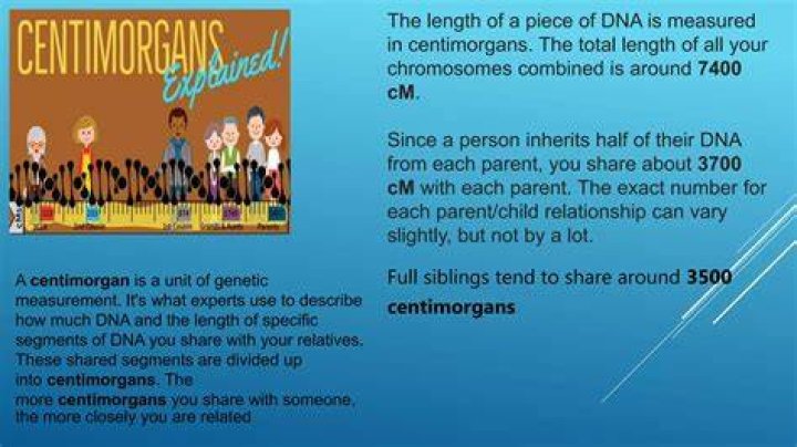 What is centimorgan unit?