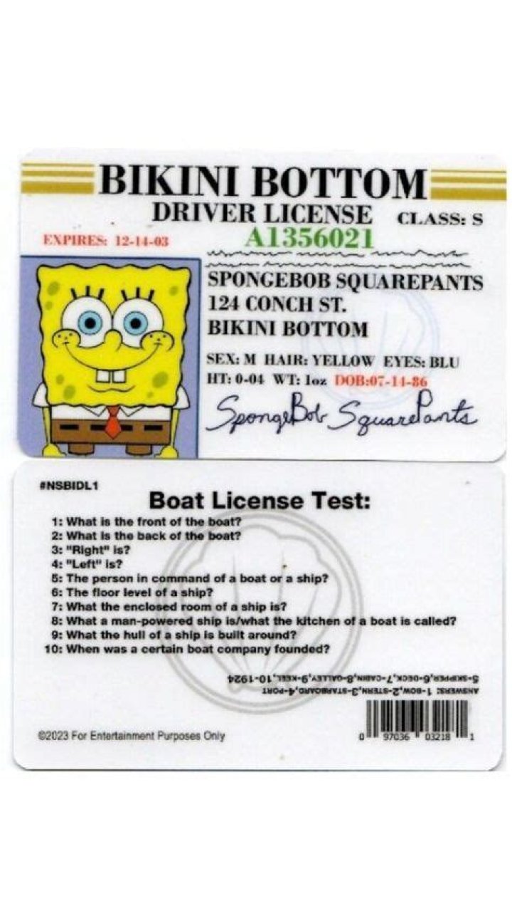 What is SpongeBob's license?