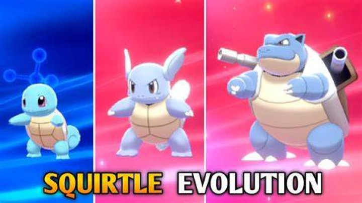 What level should I evolve Squirtle?