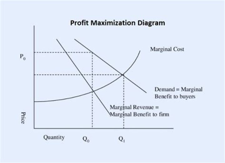 What output is profit maximised?