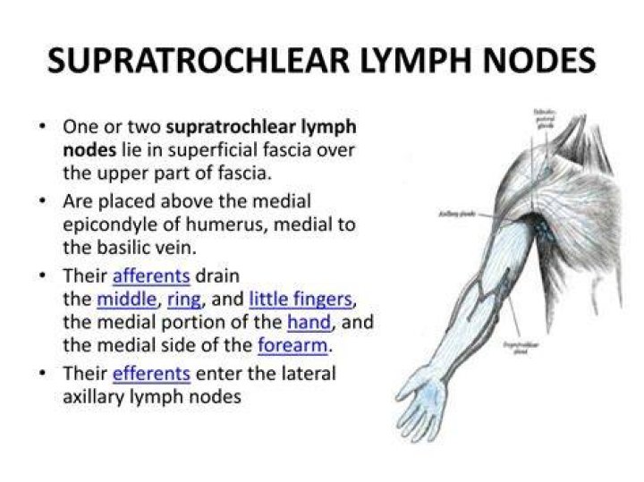 Where are the Supratrochlear lymph nodes located?