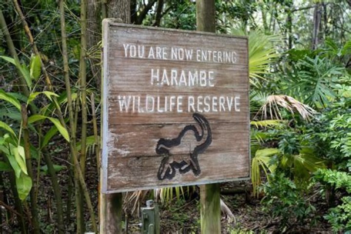 Where is Harambe Wildlife Reserve?