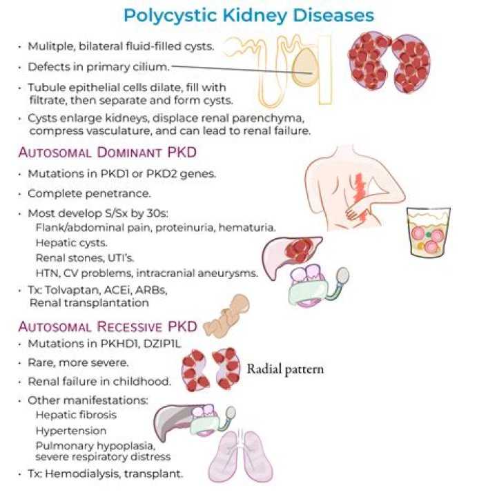 Which gene causes polycystic kidney disease?