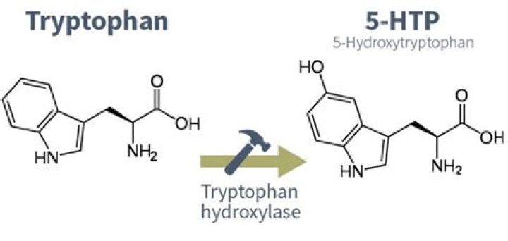 Which is better tryptophan or 5 htp?