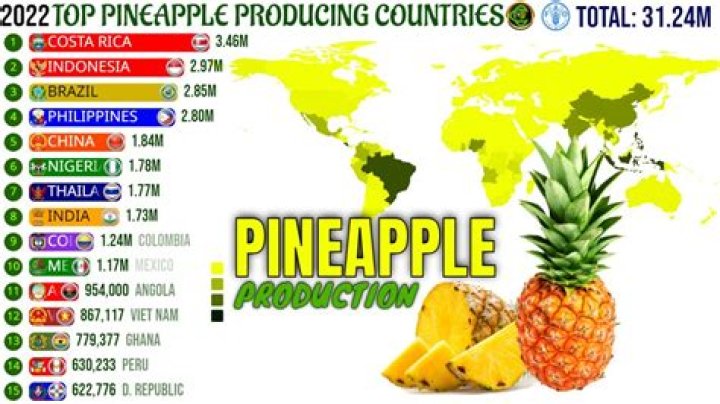 Which state produces pineapple?