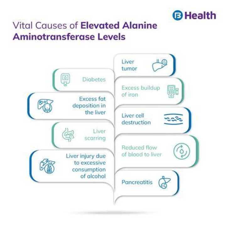 Why alanine aminotransferase high?