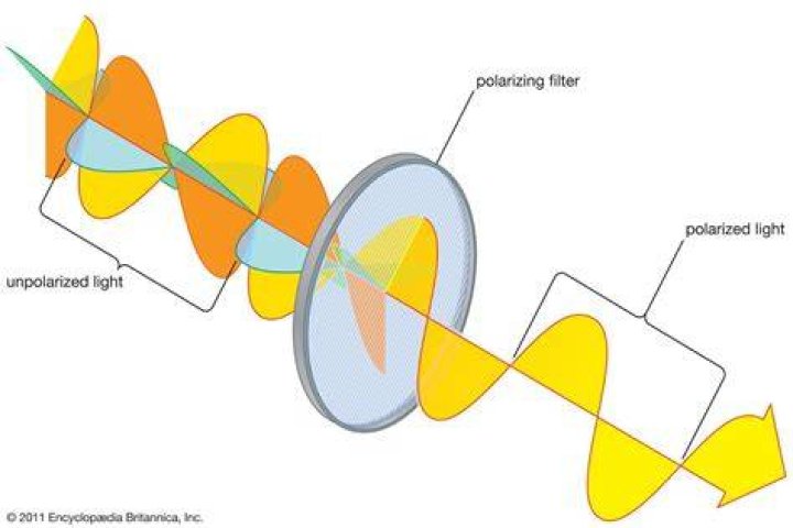 Why can't sound waves be polarized?
